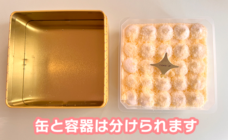 Cake.jp限定販売のチョコレートメーカーDADACAとのコラボレーションケーキ　猫柄